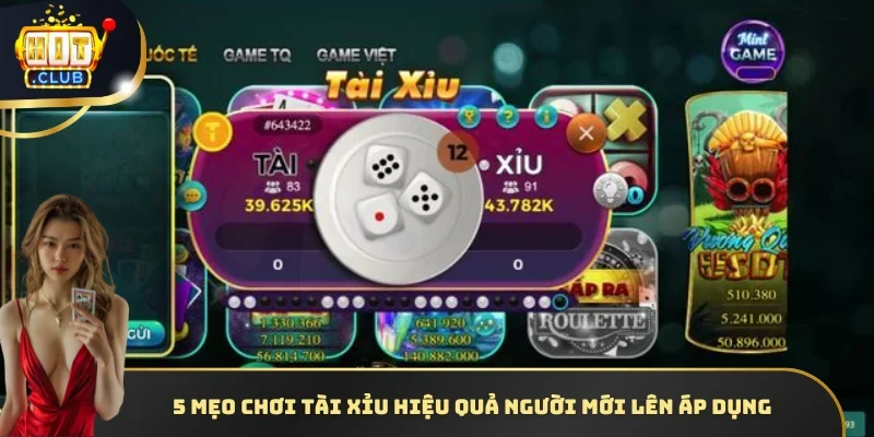 5 mẹo chơi Tài Xỉu hiệu quả người mới lên áp dụng